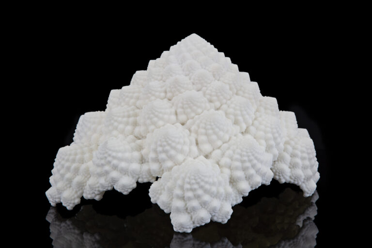 Chou-fleur - par Axis spécialiste du prototypage - technologies d'impression 3D : le frittage de poudre